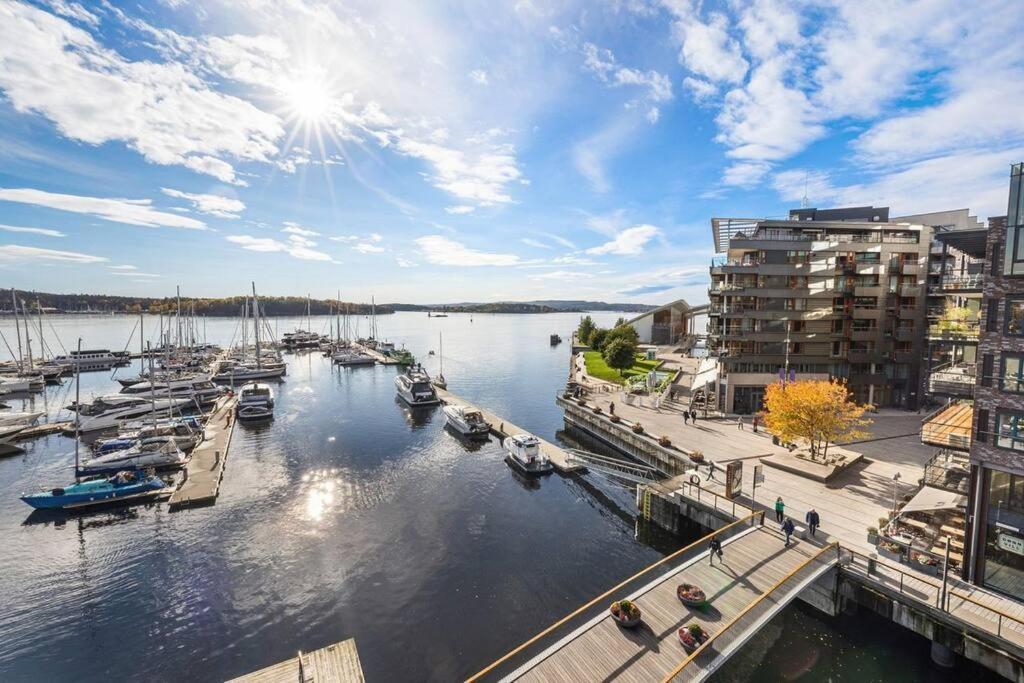 Apartment Large 41 Millions Kr - Seaview In Center Oslo
